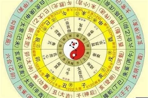 天干地支計算機|八字算命器